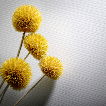 Sculpted by Formica Group