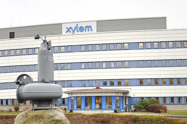 Xylem