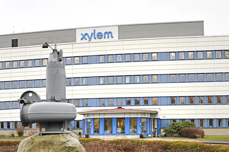 Xylem