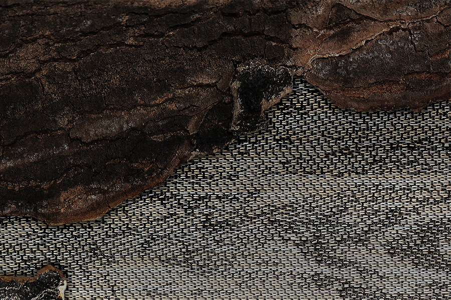 Golvkollektionen Silva