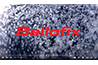 BROEN BALLOFIX® Ball Valve OEM Solutions