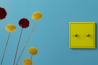 LS 1912: switch to colour