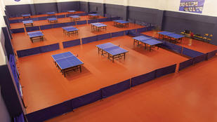 OMNISPORTS TABLE TENNIS