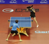 TARAFLEX® TABLE TENNIS