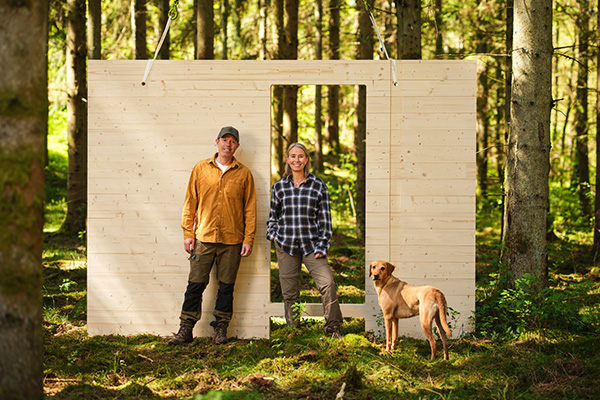 Trä från insidan och ut